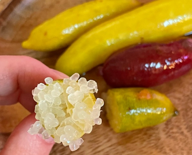 국산 상큼톡톡 핑거라임 케비어라임, 1개, 냉동 100g