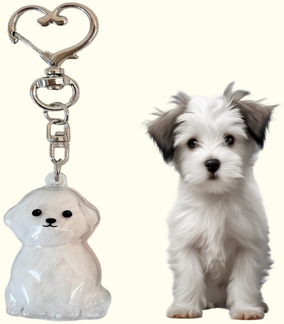 강아지 고양이 털 키링 보관 선물 캡슐 메모리얼 펫로스 반려동물, 순둥멍