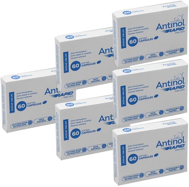 안티놀(Antinol) 안티놀 래피드 (고양이 관절 영양제) 60 소프트젤 캡슐 X 6개