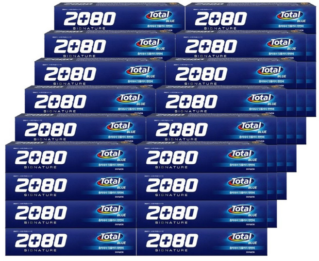 2080 시그니처 토탈블루 치약 125g, 48개