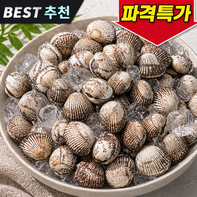 [꼬막채취만30년째] 당일조업 국산 새꼬막 꼬막, 1박스, 3kg