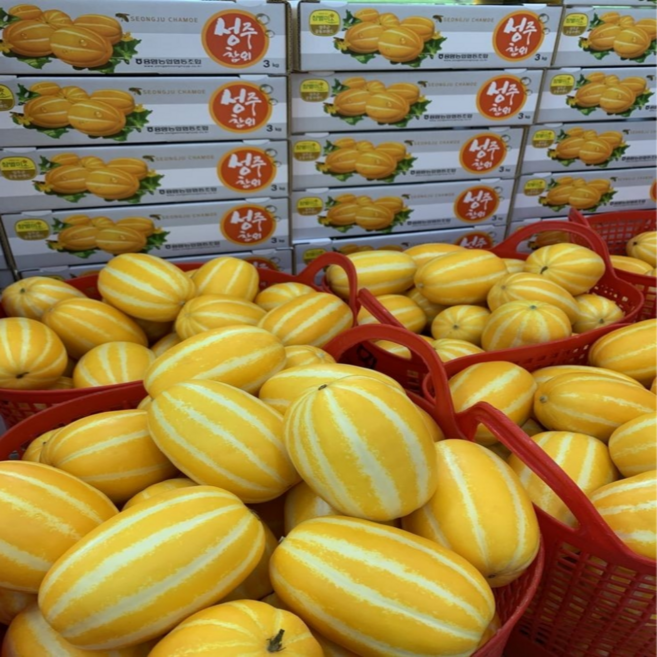 (찬별스토어)산지직송 배송 싱싱하고 아삭한 성주 꿀 참외(못난이용), 1개, 10kg