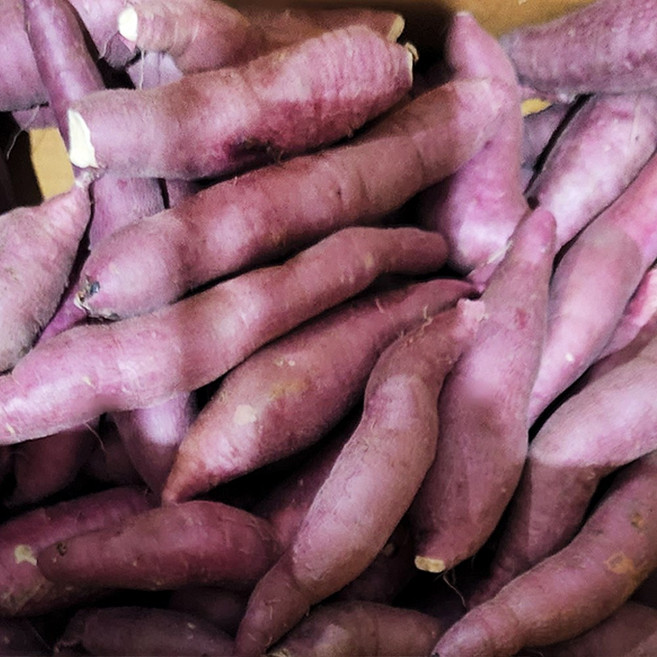 국산 햇 고구마 황토 꿀고구마 호박고구마 세척고구마, 1박스, 세척 호박고구마 3kg 한입