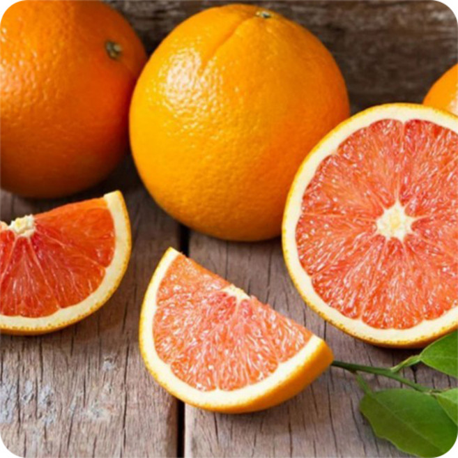 고당도 카라카라 오렌지 자몽오렌지 중과 항공직송, 카라카라 오렌지 1.9kg내외 (10과/중과), 10개, 1.9kg내외(10과/중과)