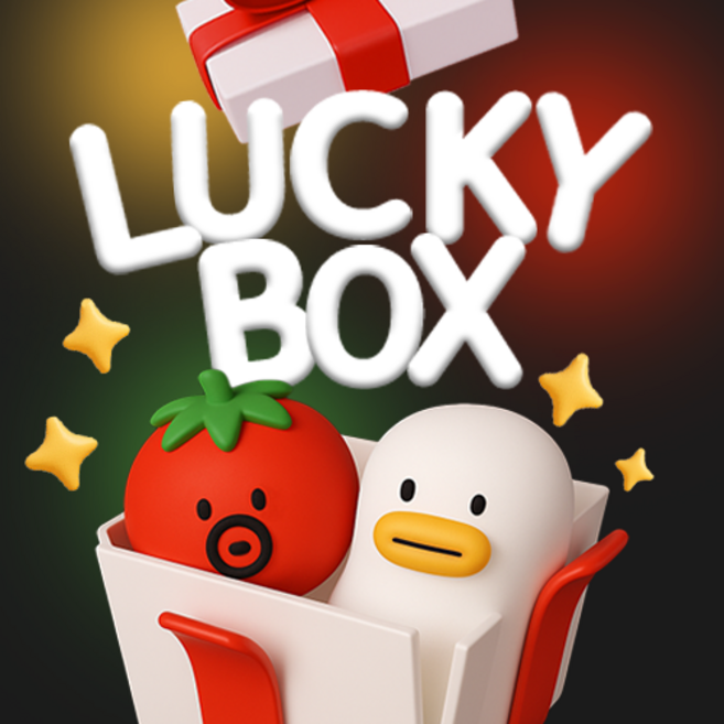 몽댕 lucky box, pro