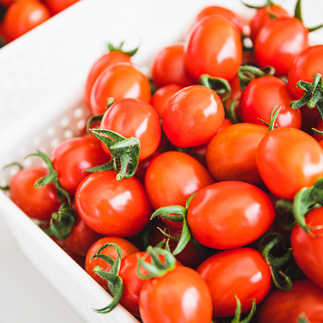 스테비아 방울토마토 500g, 1박스, 스테비아 방울토마토 500g 1팩