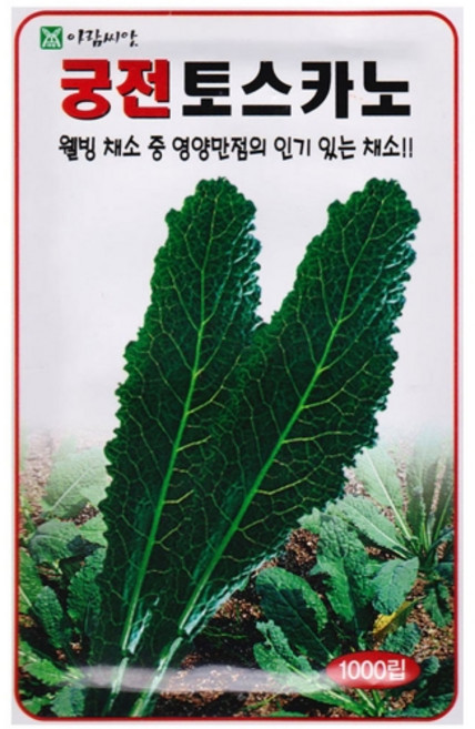 영농사 토스카노 씨앗 1000립 잎 브로콜리씨, 1개