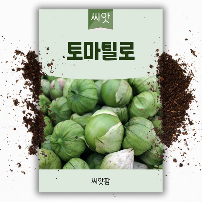 토마틸요씨앗 50립 멕시코요리 그린살사 재료 토마티요 토마틸로 종자