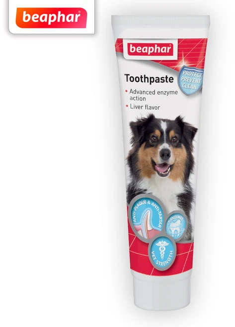 비아파 강아지 고기맛 치약, 1개, 100g - 쿠팡