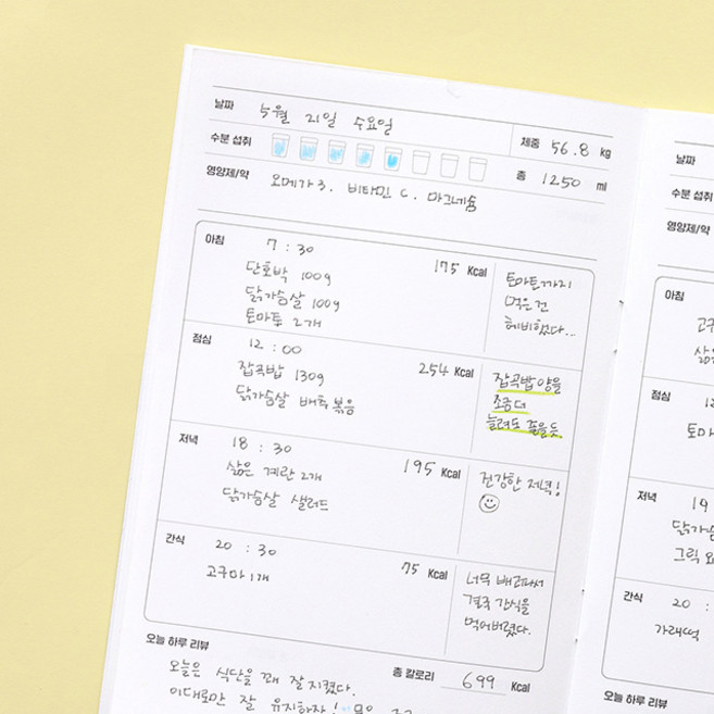 월간식단 플래너1개월 데일리 식단일기 식사기록 다이어트, 블루