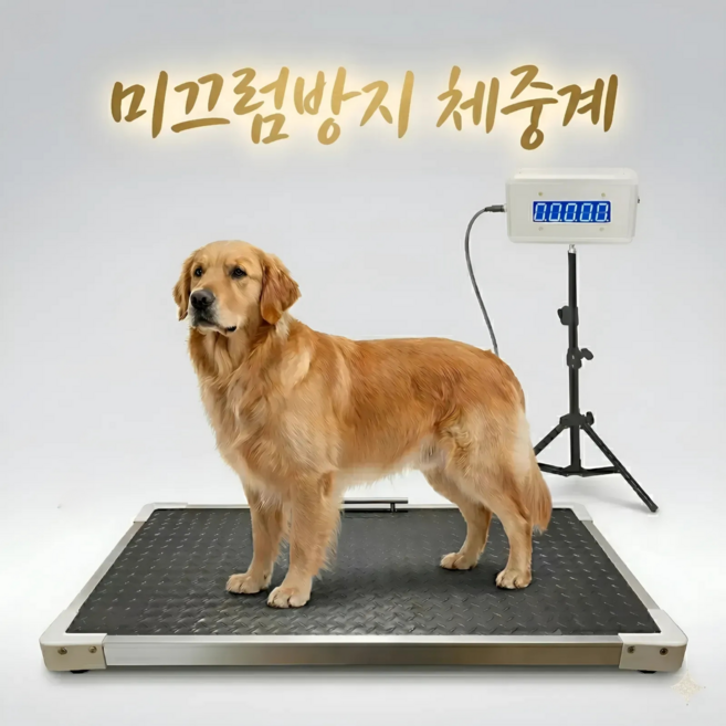파파몰 미끄럼방지 대형견 체중계 동물병원 반려동물 강아지 고양이 30kg 애견 대형 보호소, 1개, 기본색상, G1