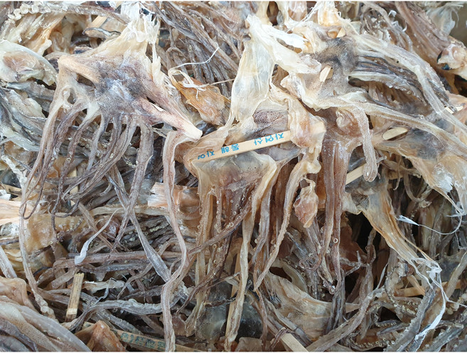 오징어발 한국산 자연건조, 1개, 울릉도산 마른 큰오징어발400g(20미내외)