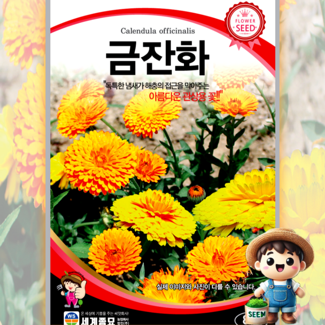남흥원예사 금잔화 80립 꽃씨 씨앗 종자 세계종묘, 1개