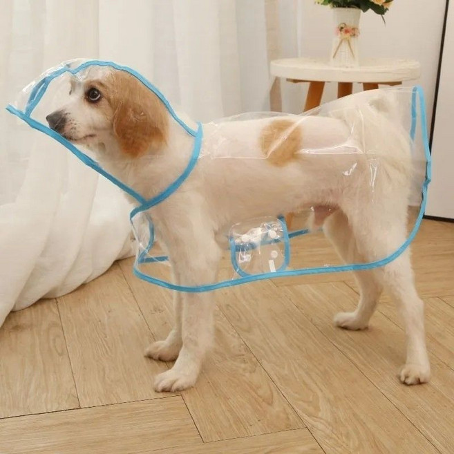 寵物透明防水雨衣 適用於中大型金毛、泰迪、柴犬等犬隻, 1個, 雨衣-藍色邊3XL建議18-25斤