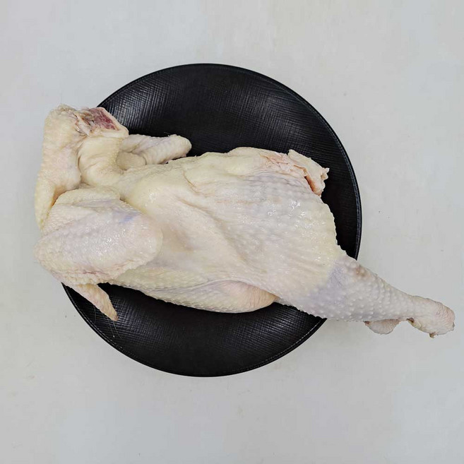(배터짐) 건강용 육계닭발 오골계 닭발 생닭발 (일요일&당일발송), 1.6kg, 1개, 토종닭