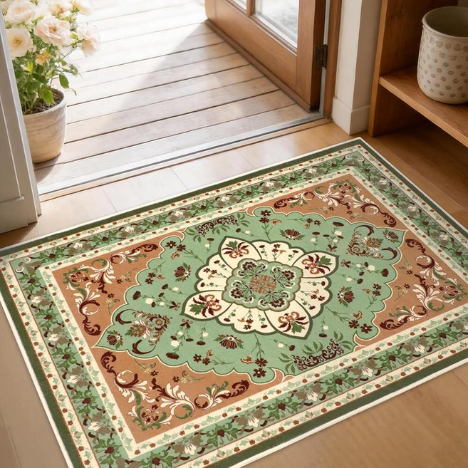 Area Rugs 2x3 Entryway Rug Small Rugs for Entryway Kitchen Bathroom Door Mat Indoor Entrance Was
