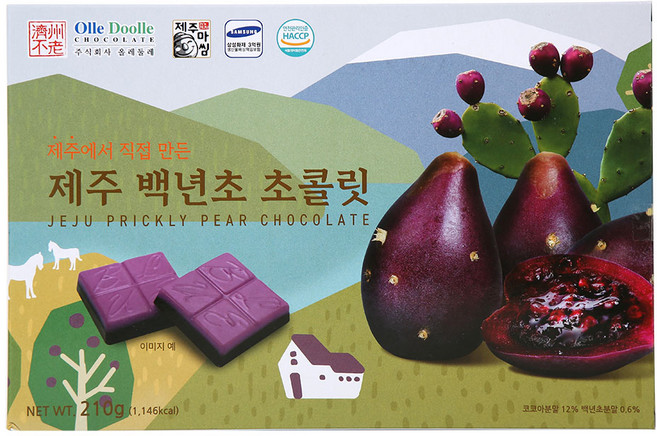 [답례/선물추천] 제주상회 개별포장 한입쏙 백년초 사각 초콜릿, 7g, 30개