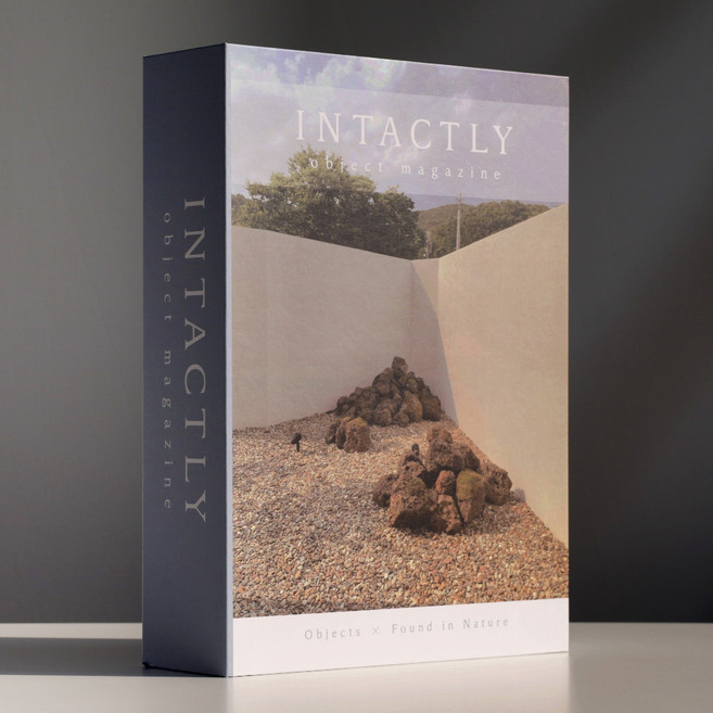 [자체제작] 수납 모형책 리모컨 정리함 수납 모형책 보관함 인테리어책 페이크북, 인택틀리(XL)