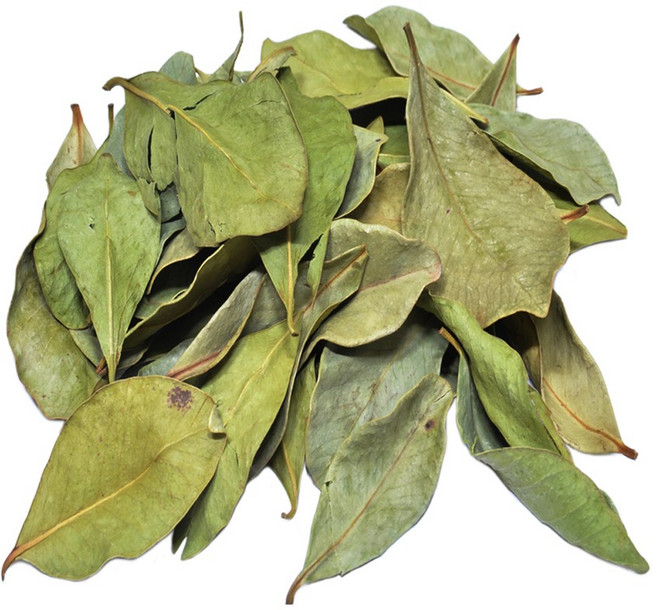 [장명식품] 구아바잎 구아바 국내산, 1개, 100g