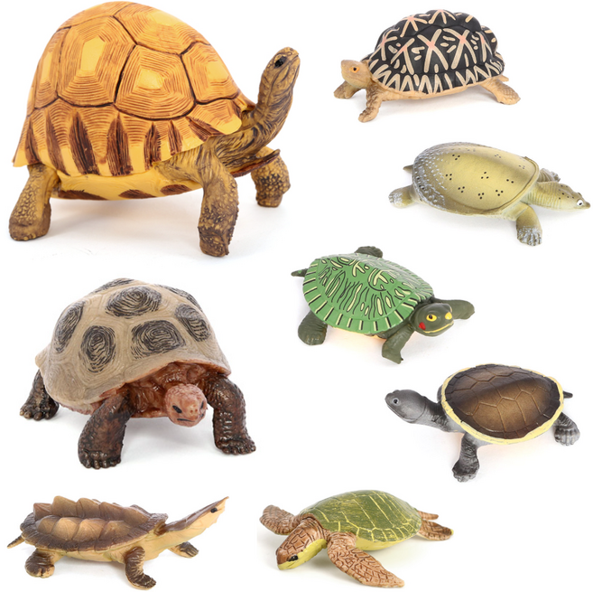 제트피규어 거북이 동물 모형 피규어 장난감 8종 세트, 1개