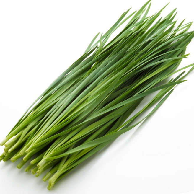 국내산 부추 특품 백씨네 농산물, 4kg, 1박스