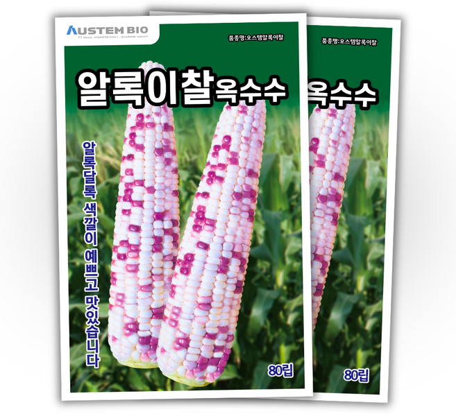 [주주씨앗] 알록이찰옥수수 씨앗 80립 얼룩찰옥수수 씨앗 다수확 통큰 옥수수, 2개