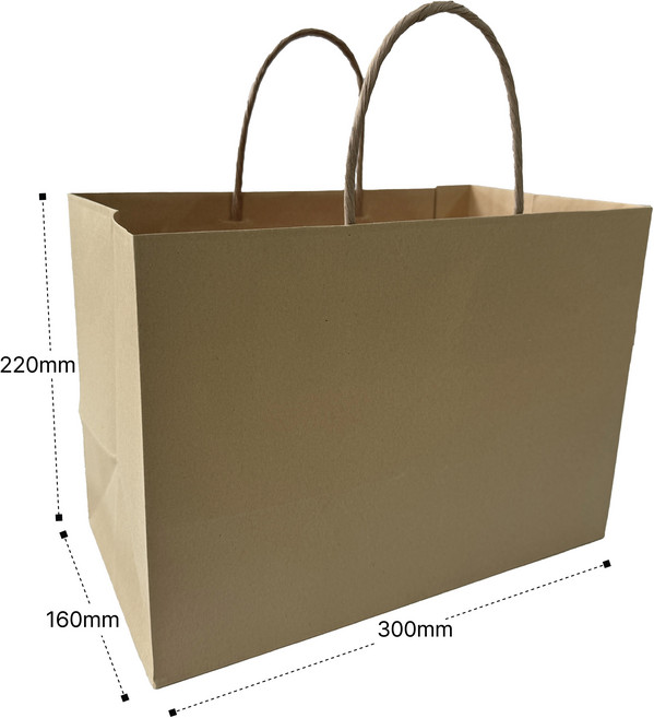 무지 크라프트 트위스트 끈 기성 종이 봉투(치킨 쇼핑백 대)(가로300 폭160 세로220) 100장