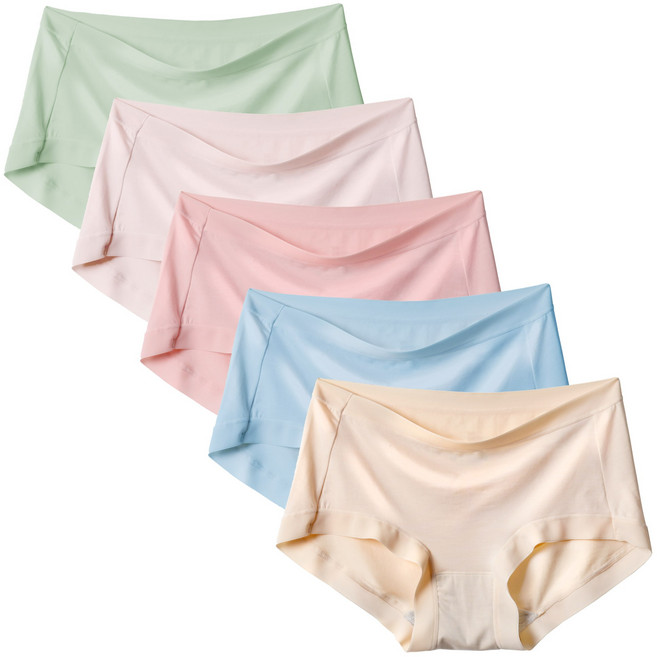 엘라운지 고탄력 60수 모달 노라인팬티 5P