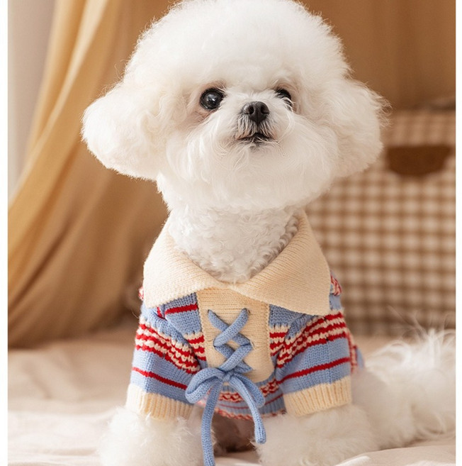 강아지옷 애견 터틀넥 니트 애견옷 겨울강아지옷 소프트 댕댕 가디건 겨울조끼 니트 티 셔츠 강아지 스웨터(레트로 신사 스타일 패션러브 강아지 추동룩 필수템), S (권장 체중 2-3kg), 스카이블루