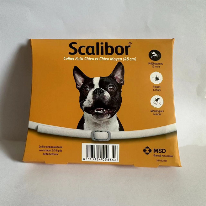 돌단비 강아지 유전자 검사 키트 혈통 DNA 테스트, 1개, 프랑스 강아지 48CM