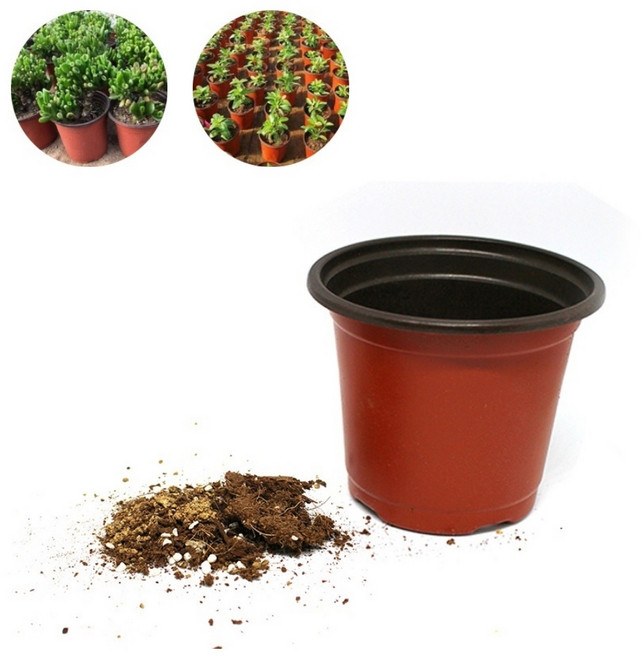 연질화분 이색포트 이색 화분 플라스틱 모종 플분 대