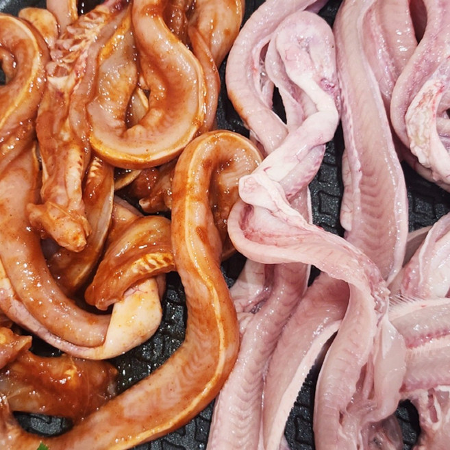 산지직송 국내산 생물 꼼장어, 1개, 꼼장어20-30미 2kg(손질후1.1kg-1.2g내외)