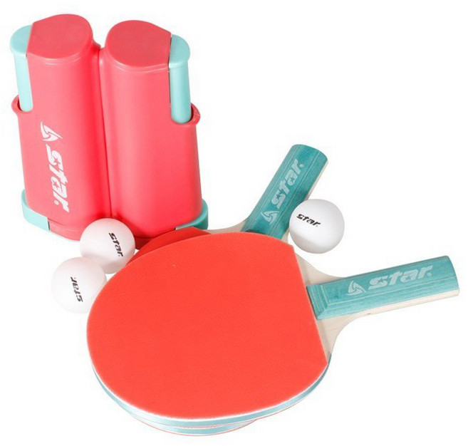 스타스포츠 휴대용(조절형) 탁구세트 체육교육 탁구네트, 1개, 1개