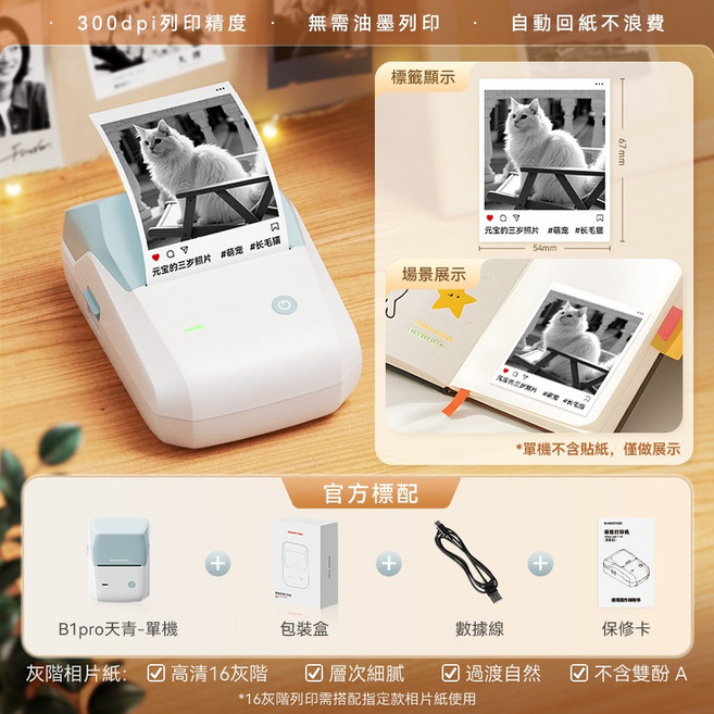 精臣 B1Pro 高清照片打印機 300dpi 相片小卡手帳貼紙列印, B1Pro-天青(無貼紙)高清版