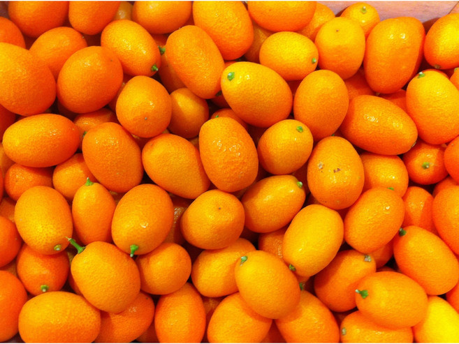 [산지직송] 제주 금귤 낑깡 고당도 500g/ 껍질째 먹는 프리미엄 금귤, 1개