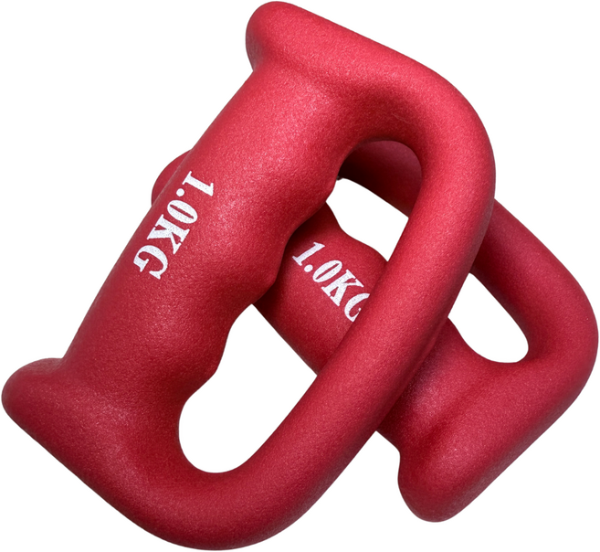 드래곤핏 복싱 덤벨 그립형 아령 레드, 2개, 1kg