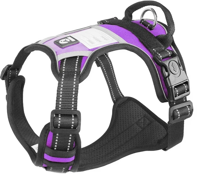 신제품 강아지 하네스 이름표 포함 반사성 애완동물 조끼 당김 방지 가능한 가슴끈 소형 대형견용, 03 S, 02 보라색