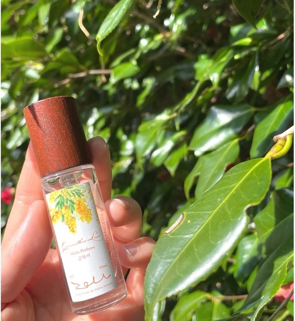 루미노소 섬유 향수 멀티 퍼퓸 10ml, 금목서 - 쿠팡