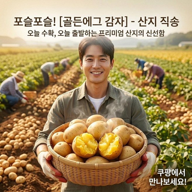 [산지직송] 골든에그 국내산 황금감자 3kg 5kg 10kg 대특, 1박스, 10kg대특