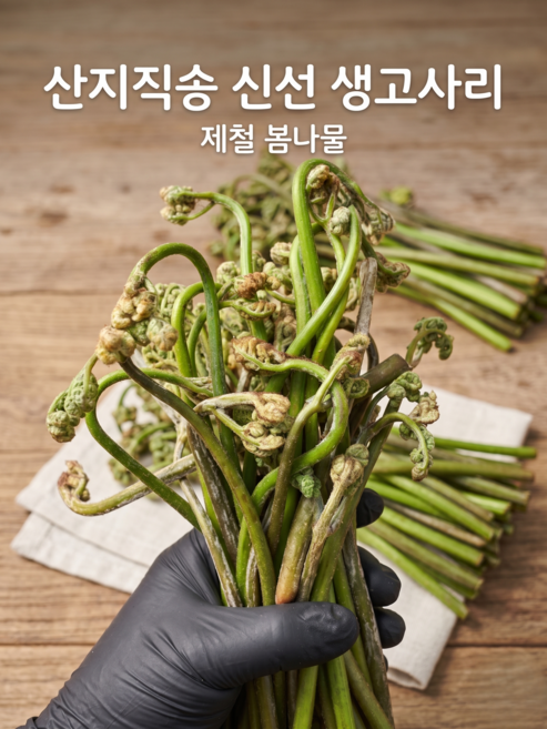 [방송출연] 봄나물 국산 생고사리, 1개, 4kg