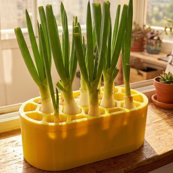 파 재배 키트 베란다 텃밭용 아파트텃밭 베란다텃밭 실내채소키우기, 화이트