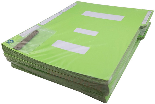 오피스존 종이 정부화일 A4 40개 파일 서류정리 종이, 연두