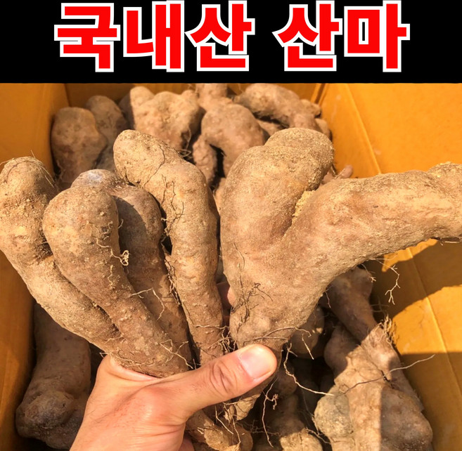 [명품농가] 국내산 햇 마 산마, 1박스, 5kg 가정용