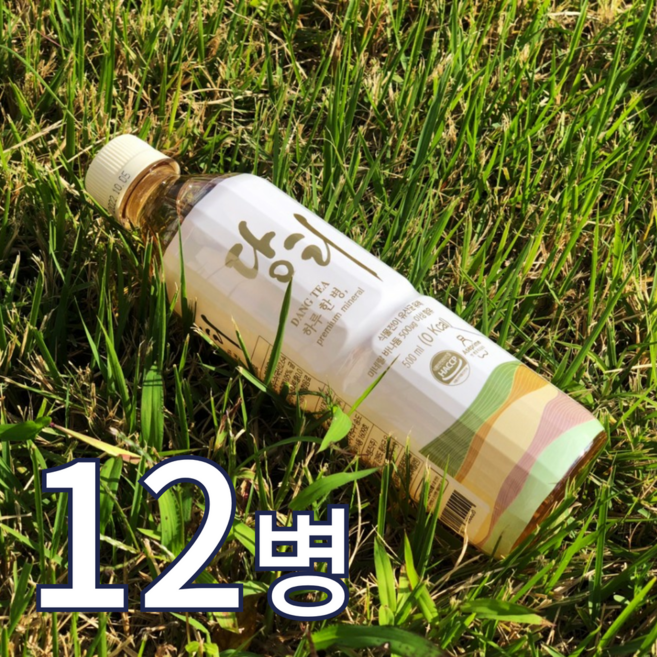 기능성 음료 특허 인증 당티 바나듐 500ml 프리미엄 당케어 도움 부모님 시니어 추천 500미리 미네랄워터, 12