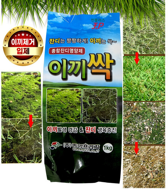 산소 이끼제거제 전용비료 잔디 영양제 입제 이끼싹1kg +계량수저 식물고정타이세트 토양살포 봉분 묘지 정원관리 골프장 운동장 마당 이끼 예방제 나무이끼 제거 화분 잔디밭 주말농장, 1kg, 1개