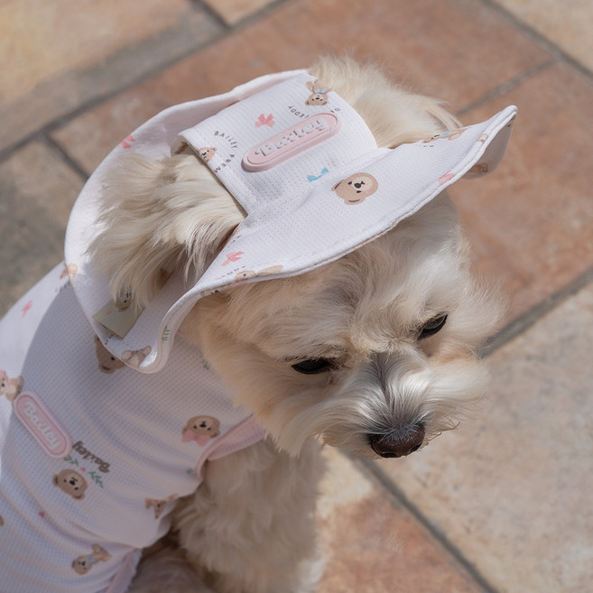 베일리펫 강아지썬캡 애견모자 여름 해충방지 쿨링테디캡, 1개, 핑크