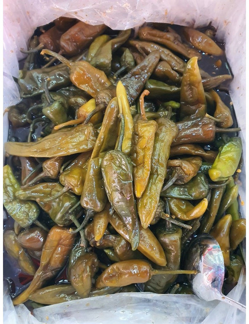 [오늘의 아시아푸드] 동북고추(라메즈)절임. 고향맛그대로 짠맛 중국고추짱아찌, 500g, 1개