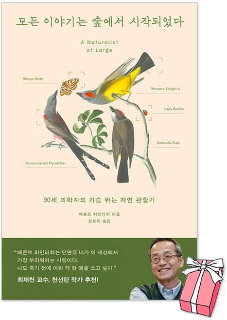 모든 이야기는 숲에서 시작되었다 : 90세 과학자의 가슴 뛰는 자연 관찰기 + 사은품 제공, 페이퍼백