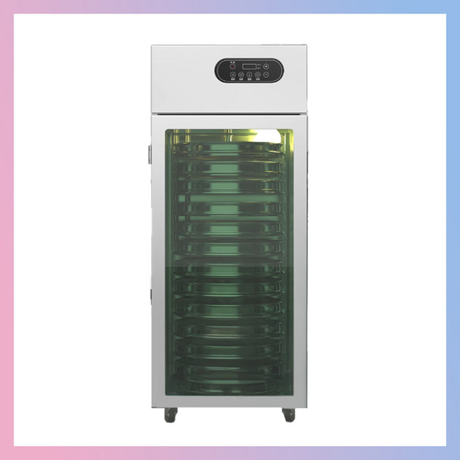 웰스핀 360도 회전식 식품건조기 가정용 고추건조기 야채건조기 과일건조기 대형 고추말리기, 디럭스, 중형 10단