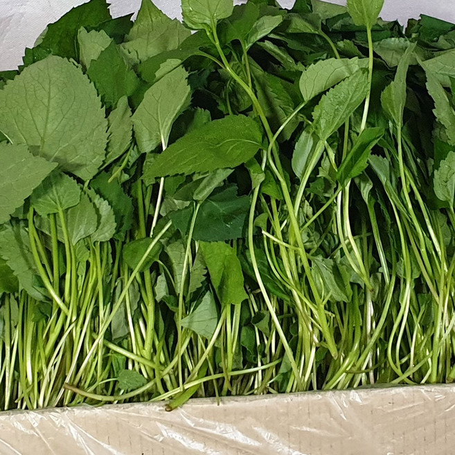 국내산 취나물 4kg 2kg, 1박스
